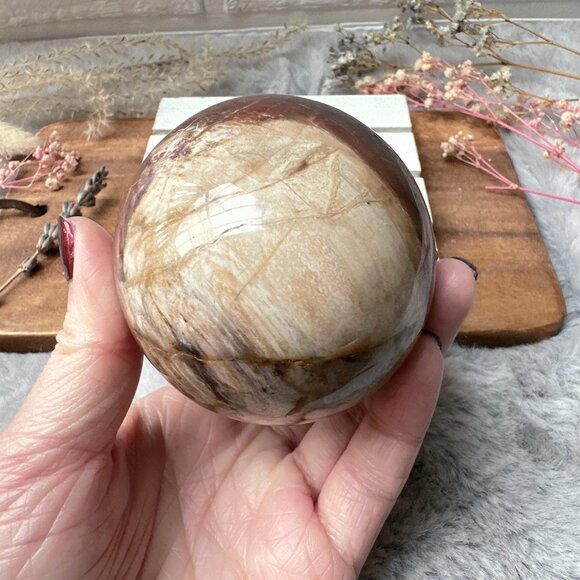 Gorgeous Large Petrified Wood Egg - Picture 5 of 9